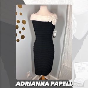 NWT Adrianna Papell Shutter Pleated Dress